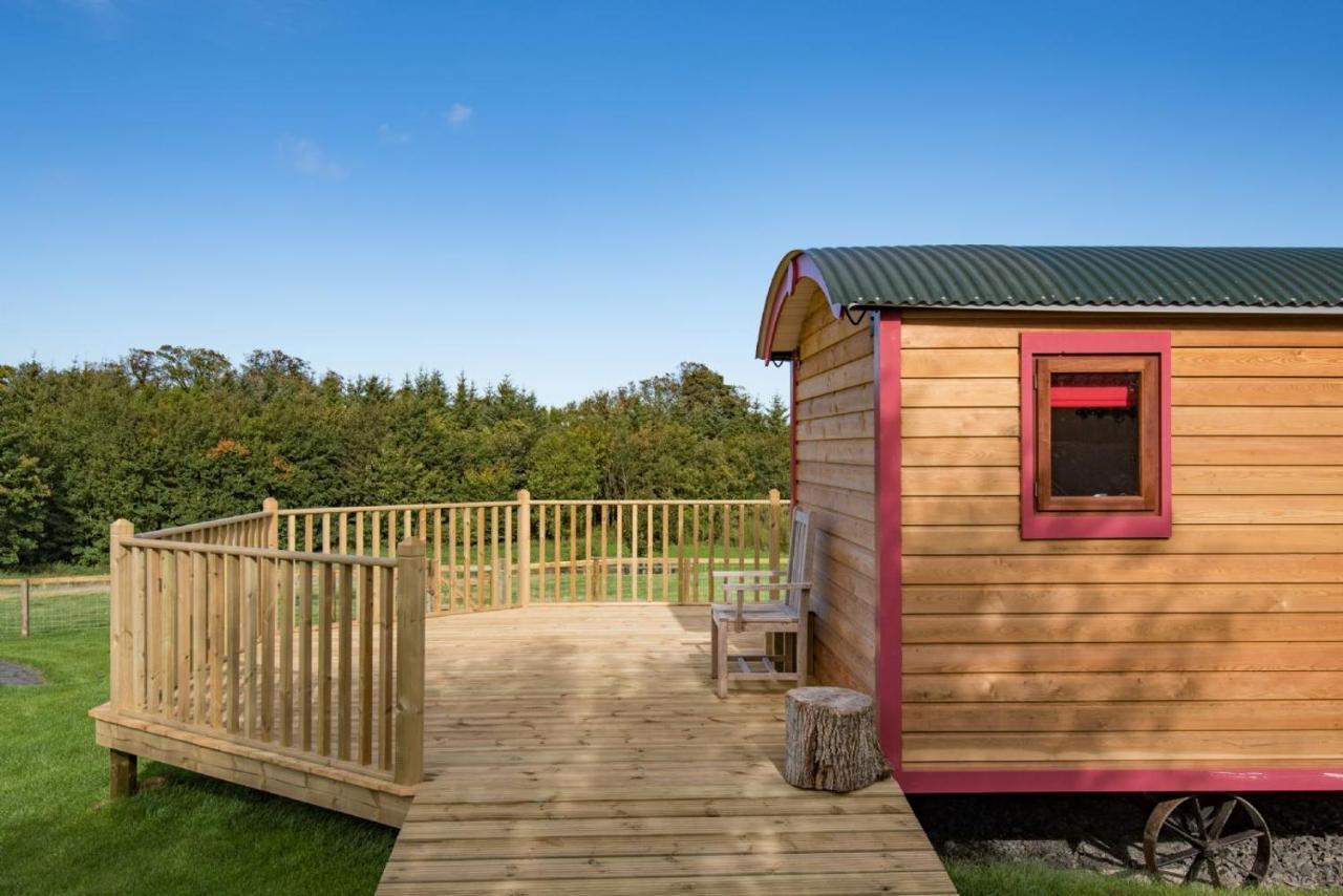 Foxglove Shepherd'S Hut Berwick Upon Tweed Exterior photo